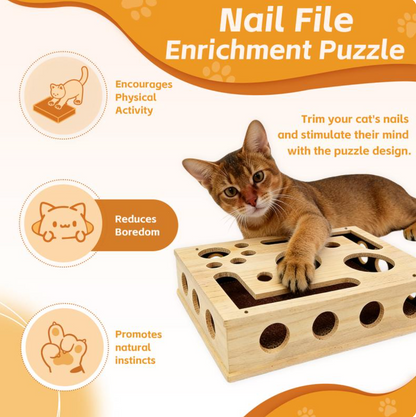 PETIQ™ Cat Scratch & Groom Puzzle Box